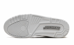 Load image into Gallery viewer, Air Jordan 3 Retro “Pure Money”